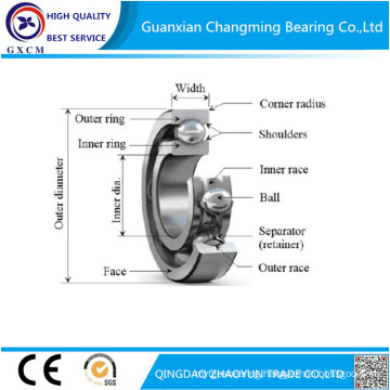 Quality Bearing Low Price Deep Groove Ball Bearing 6300 (10*35*11mm) with Open Z Zz N Rz RS 2rz 2RS